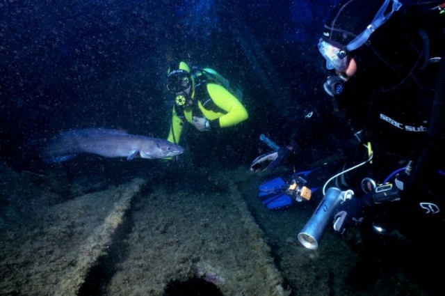  Descubriendo naufragios 